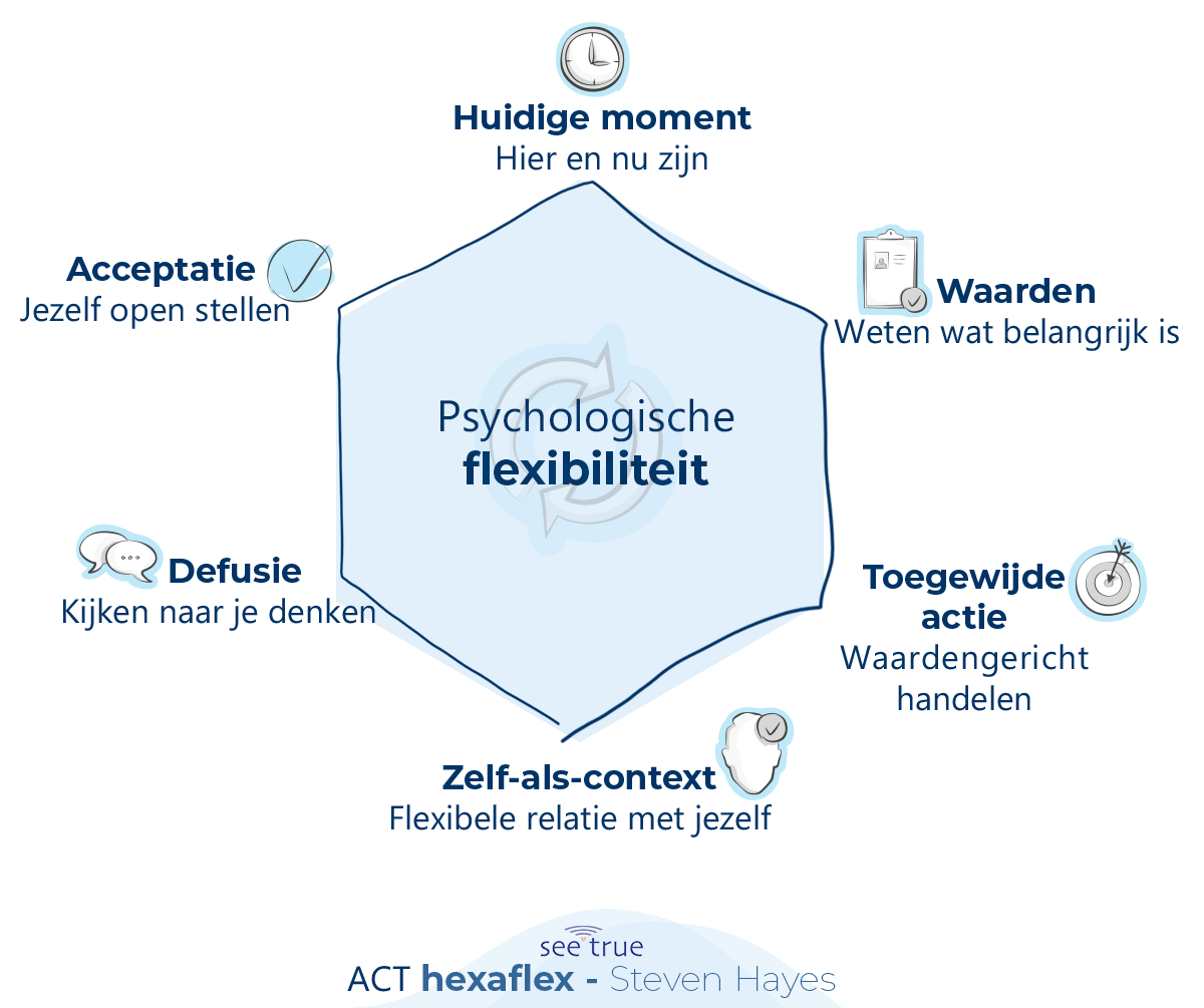  SeeTrue ACT opleiding Voor psychologen, therapeuten, trainers en coaches Vernieuwd -  Persoonlijk - Ervaringsgericht